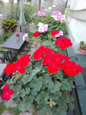 Villetta su due livelli fraz. Fusara (Baronissi)